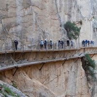 Full-day Tours