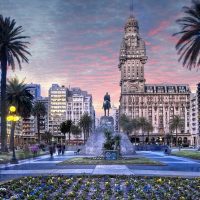 City Tours