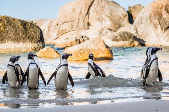 Good Friday in Cape Town
