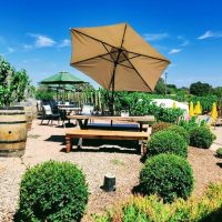Wine Tasting & Winery Tours