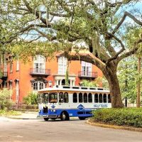 City Tours