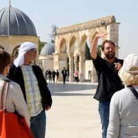 Half-day Tours