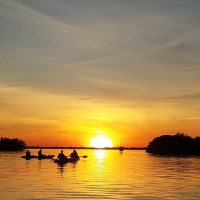 Glass Bottom Boat Tours