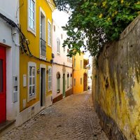Cultural Tours