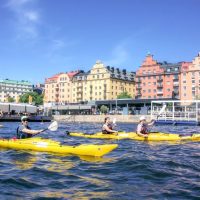Cruises, Sailing & Water Tours