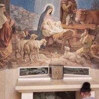 Historical & Heritage Tours