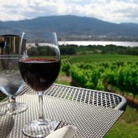 Wine Tasting & Winery Tours