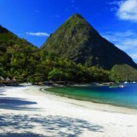 Bus & Minivan Tours
