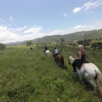 Horseback Riding