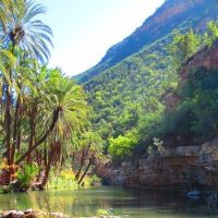 Bus & Minivan Tours