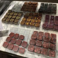 Half-day Tours