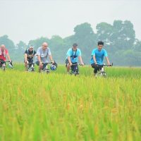 Vespa, Scooter & Moped Tours