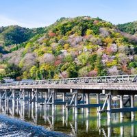 Bus & Minivan Tours