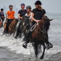 Horseback Riding