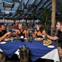 Cruises, Sailing & Water Tours
