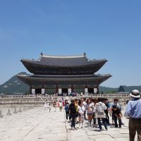 Full-day Tours