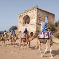 Luxury Tours