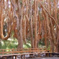 Boat Tours