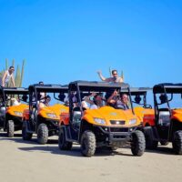 Cruises, Sailing & Water Tours