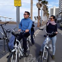 Half-day Tours