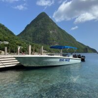 Boat Tours