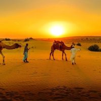 Day Trips & Excursions