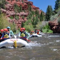 Cruises, Sailing & Water Tours