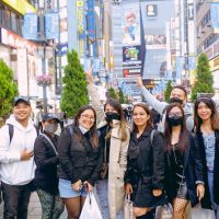Private Sightseeing Tours