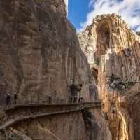Holiday & Seasonal Tours