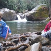 Half-day Tours