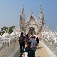 City Tours