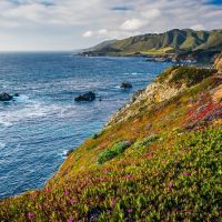 Bus & Minivan Tours