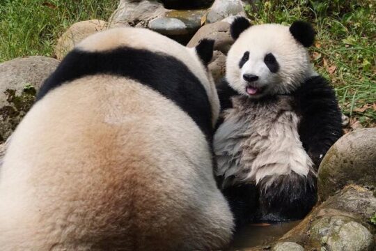 Easter in Chengdu