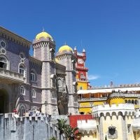 Ports of Call Tours