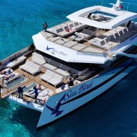 Sailing Trips