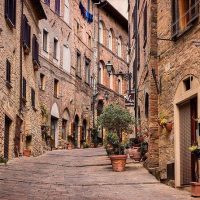 Bus & Minivan Tours