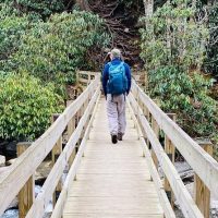 Half-day Tours