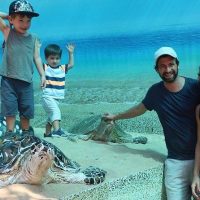 Bus & Minivan Tours