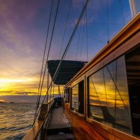 Brunch Cruises