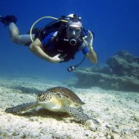 Scuba Diving