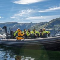 Boat Tours