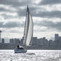 Sailing Trips
