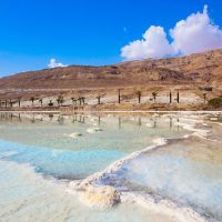 Luxury Tours