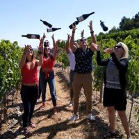 Full-day Tours