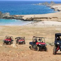 Tours & Sightseeing