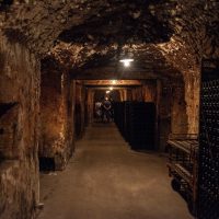 Half-day Tours