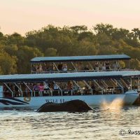 Boat Tours