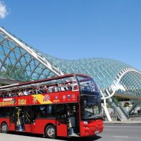 Bus & Minivan Tours