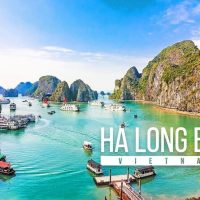 Tours & Sightseeing