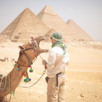 Full-day Tours
